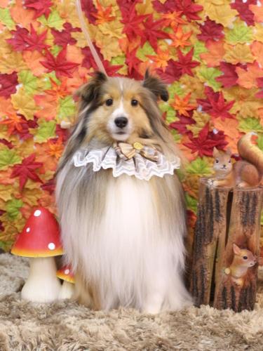 20241122ノアくん